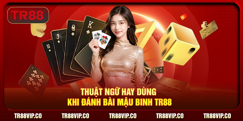 Thuật ngữ hay dùng khi đánh bài Mậu Binh TR88